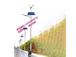 风光互补太阳能路灯FGD-31